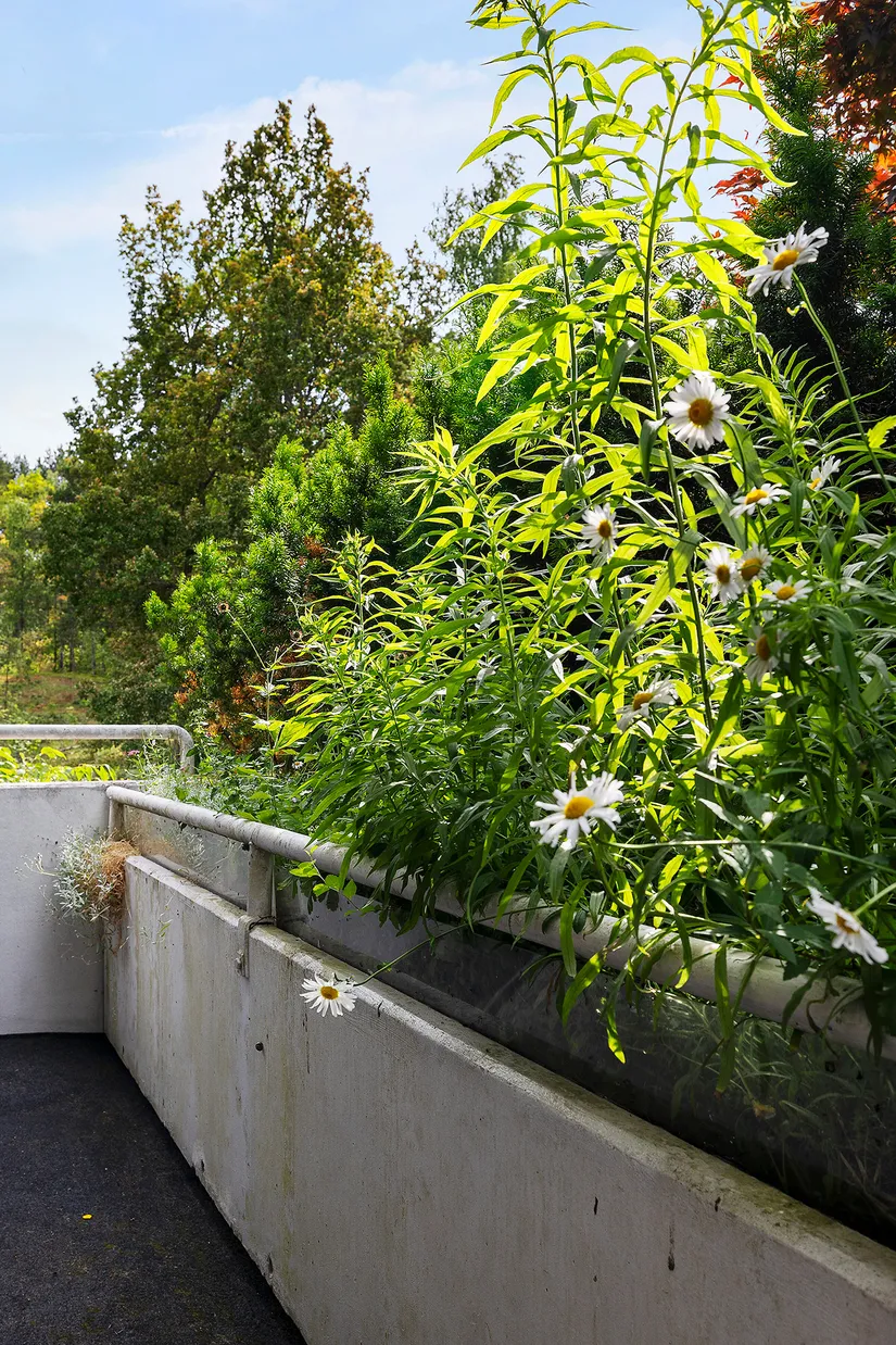 Bostadsrätt, Teknikvägen 9, Kallhäll, Järfälla