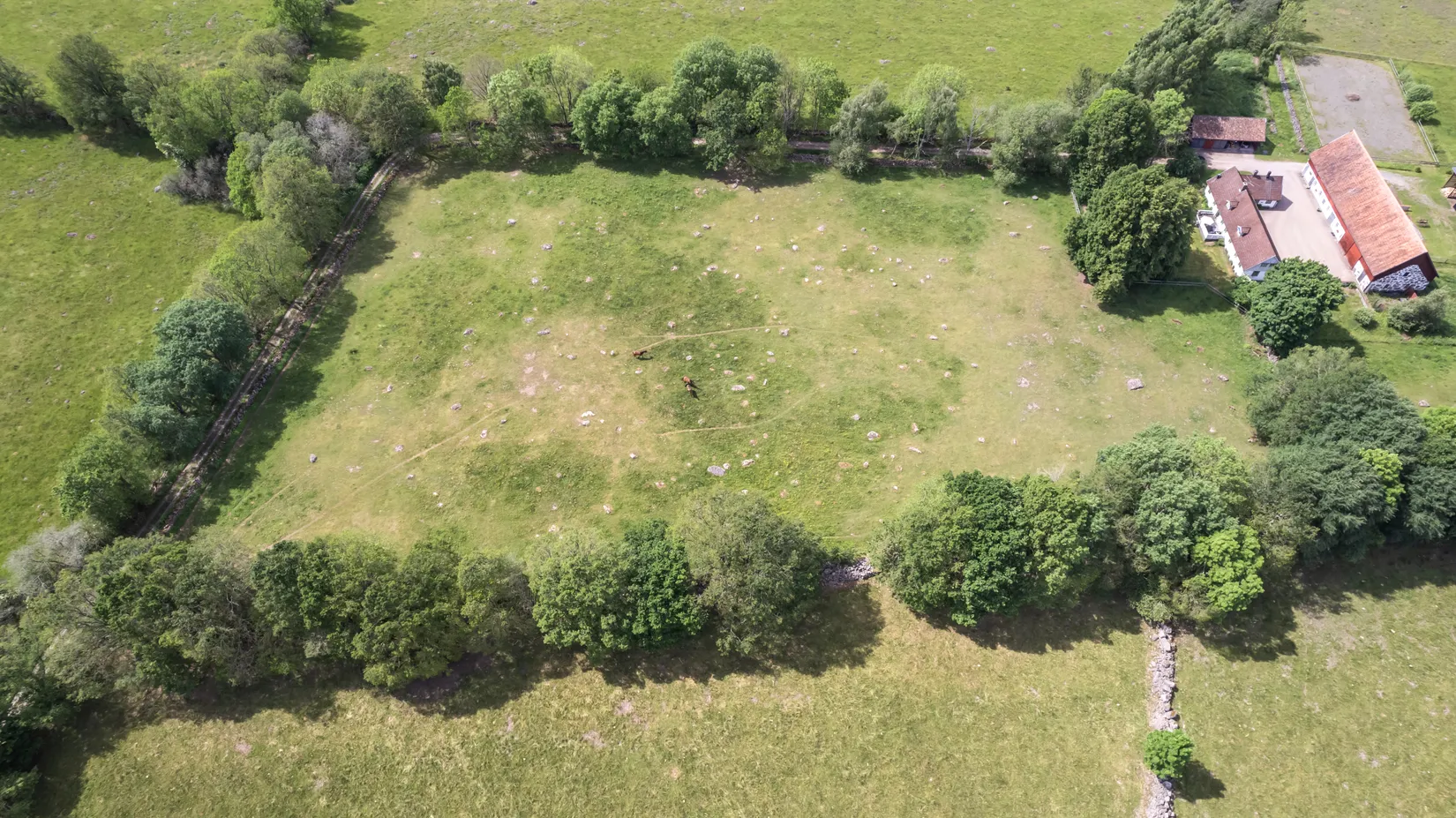 Gård/Skog, Salskogsvägen 106, Kristianstad