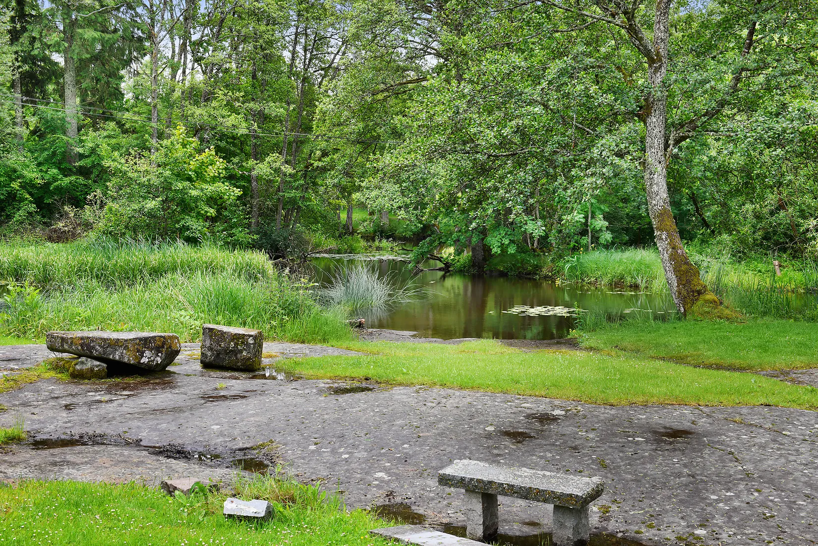 Villa, Forshall Östra Forsöle 1, Forshall, Grästorp