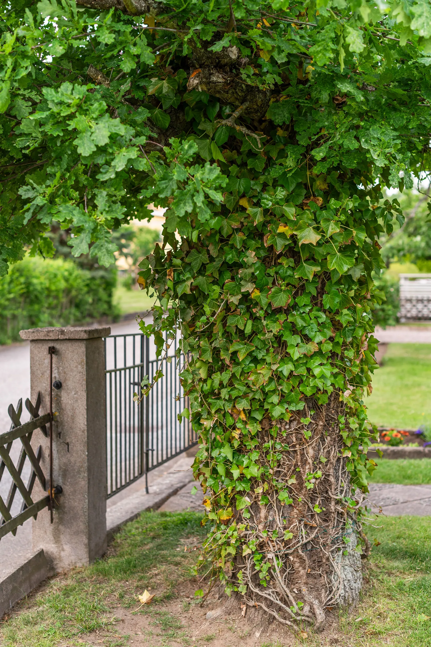 Villa, Oxhagsgatan 20, Duvedal, Motala