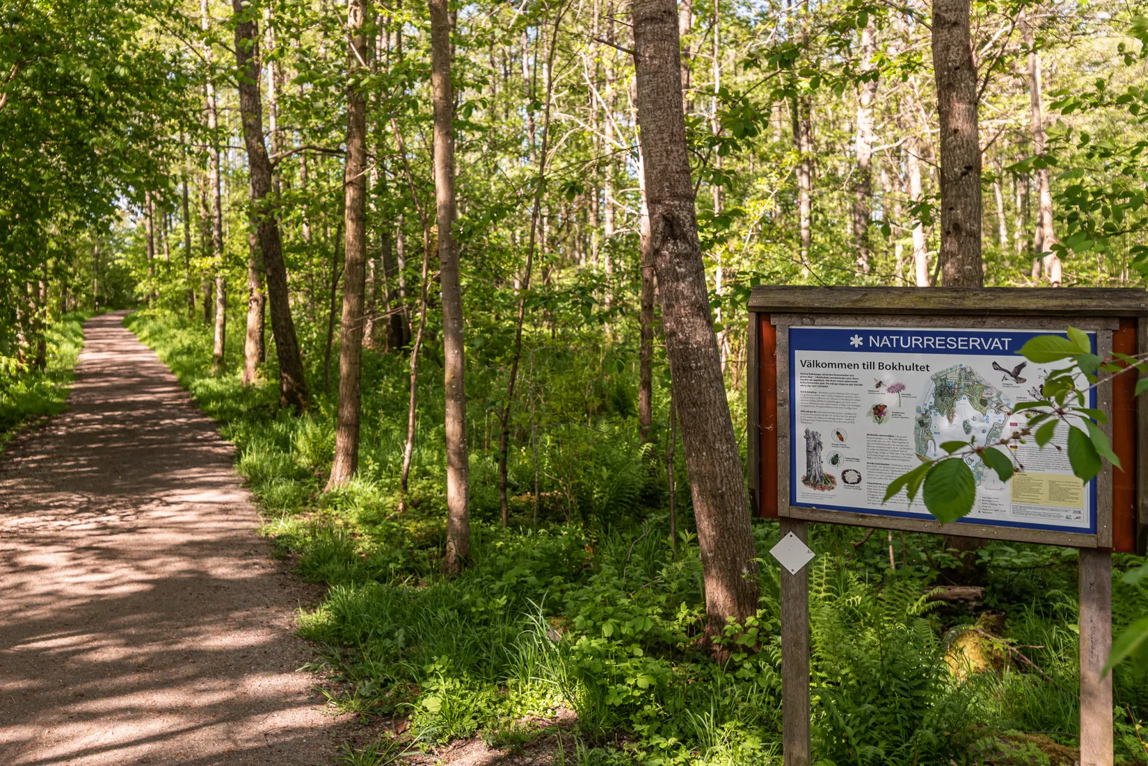 Bostadsrätt, Sjövallavägen 8, Vallen, Växjö