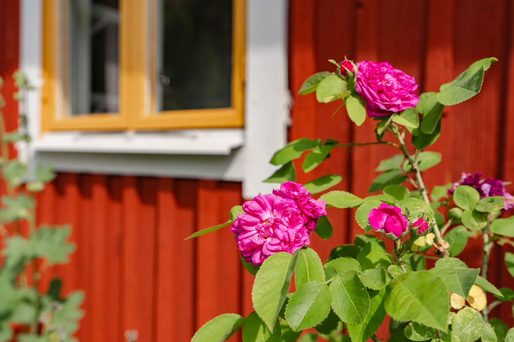 Villa, Skalavägen 2, Tobo, Tierp