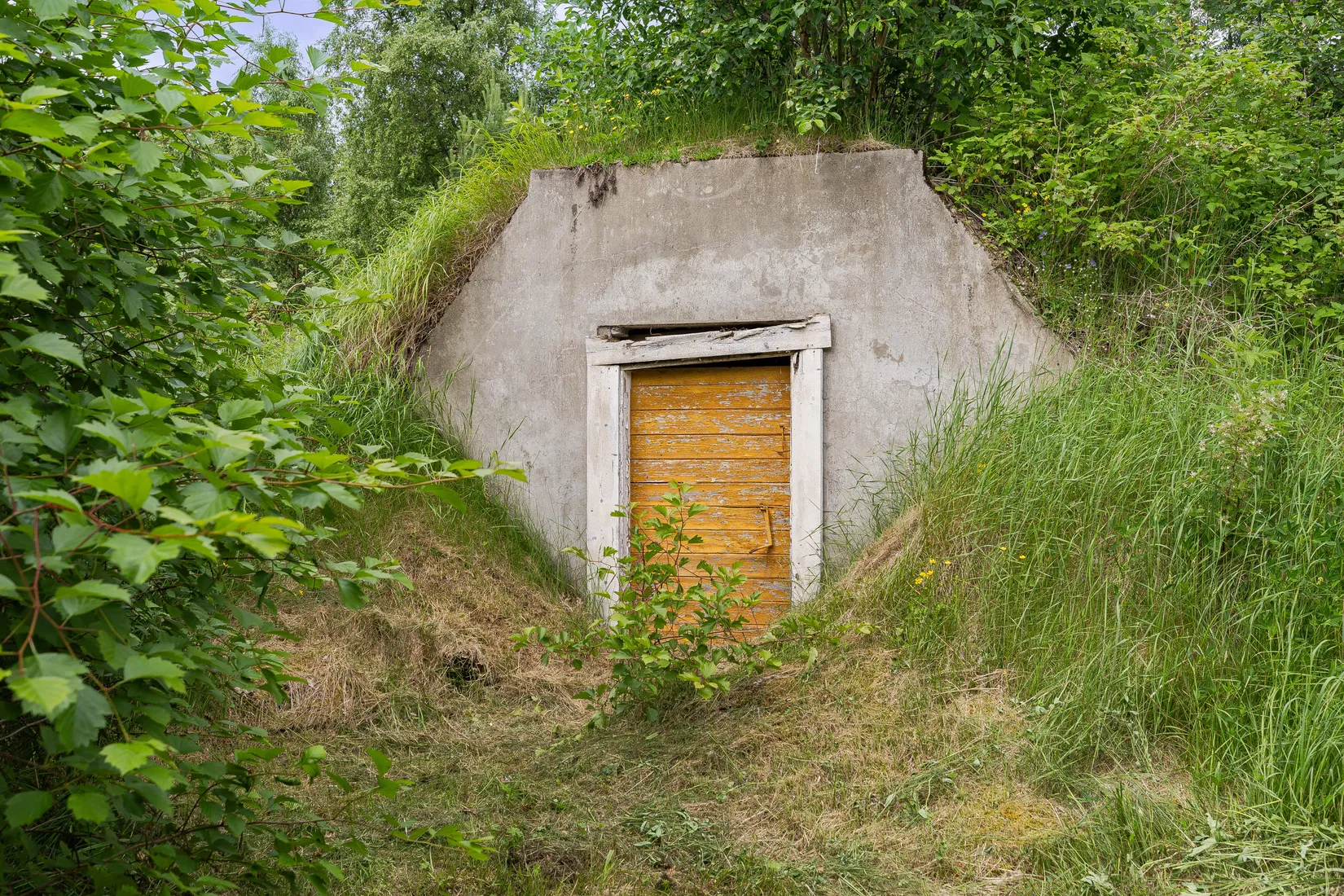 Gård/Skog, Graningebruk 524, Sollefteå