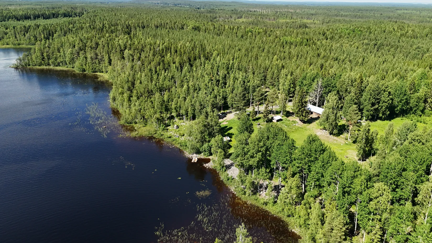 Gård/Skog, Bölesvik 1, hjoggböle, Skellefteå