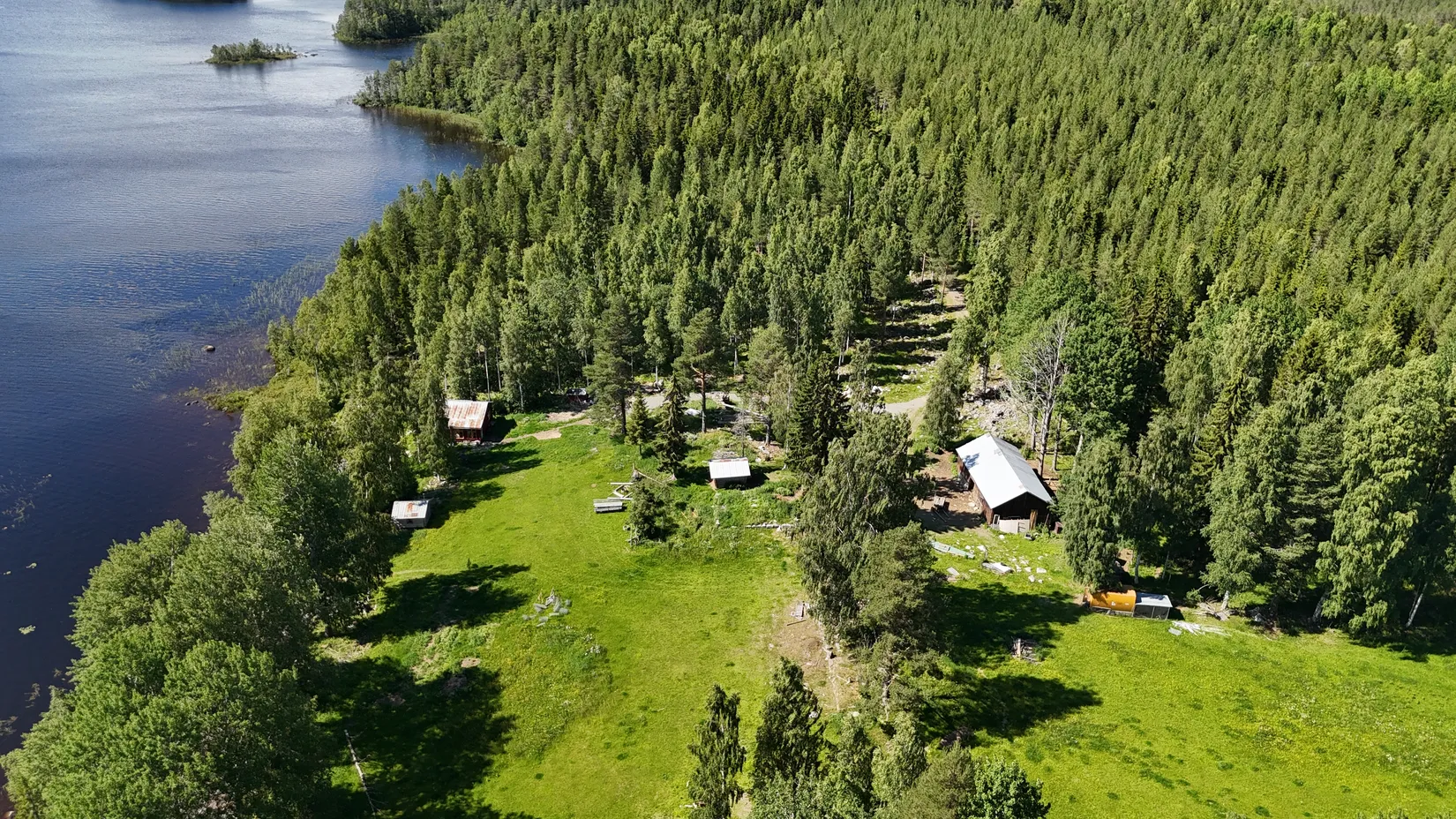 Gård/Skog, Bölesvik 1, hjoggböle, Skellefteå