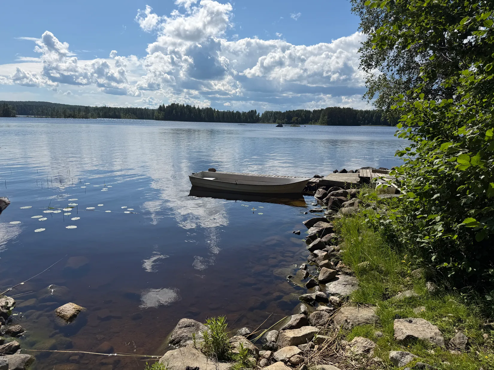 Gård/Skog, Bölesvik 1, hjoggböle, Skellefteå