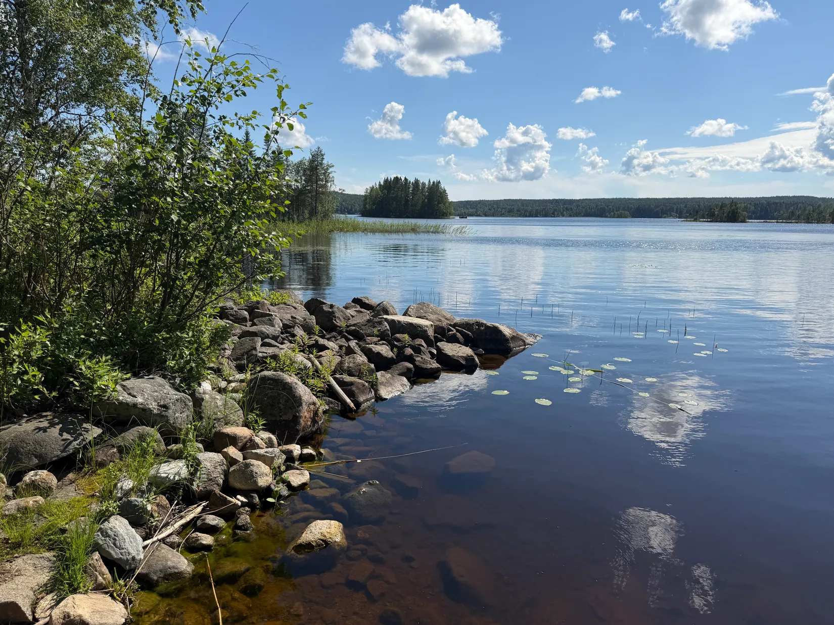 Gård/Skog, Bölesvik 1, hjoggböle, Skellefteå