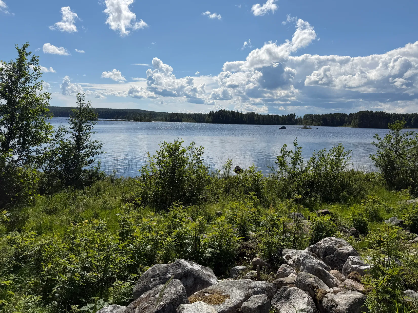 Gård/Skog, Bölesvik 1, hjoggböle, Skellefteå