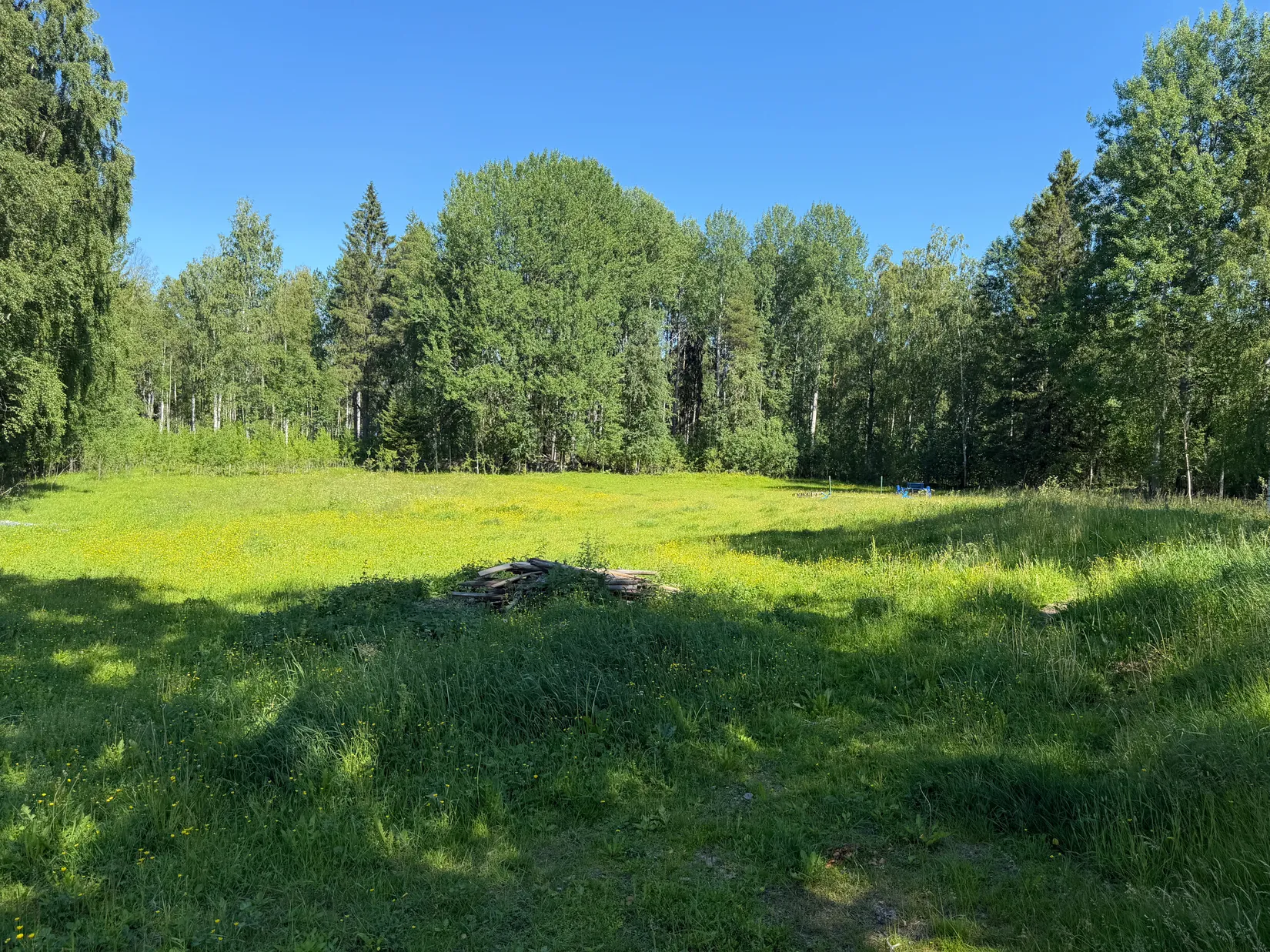 Gård/Skog, Bölesvik 1, hjoggböle, Skellefteå