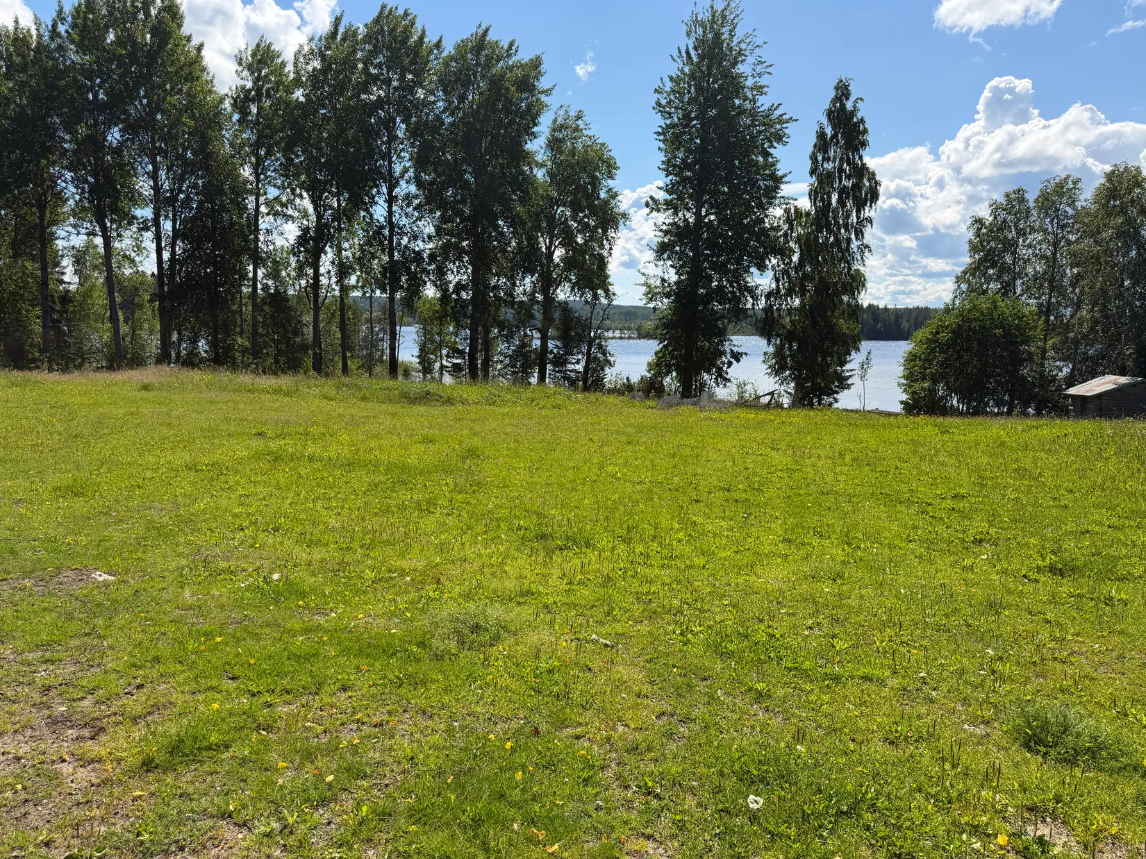 Gård/Skog, Bölesvik 1, hjoggböle, Skellefteå