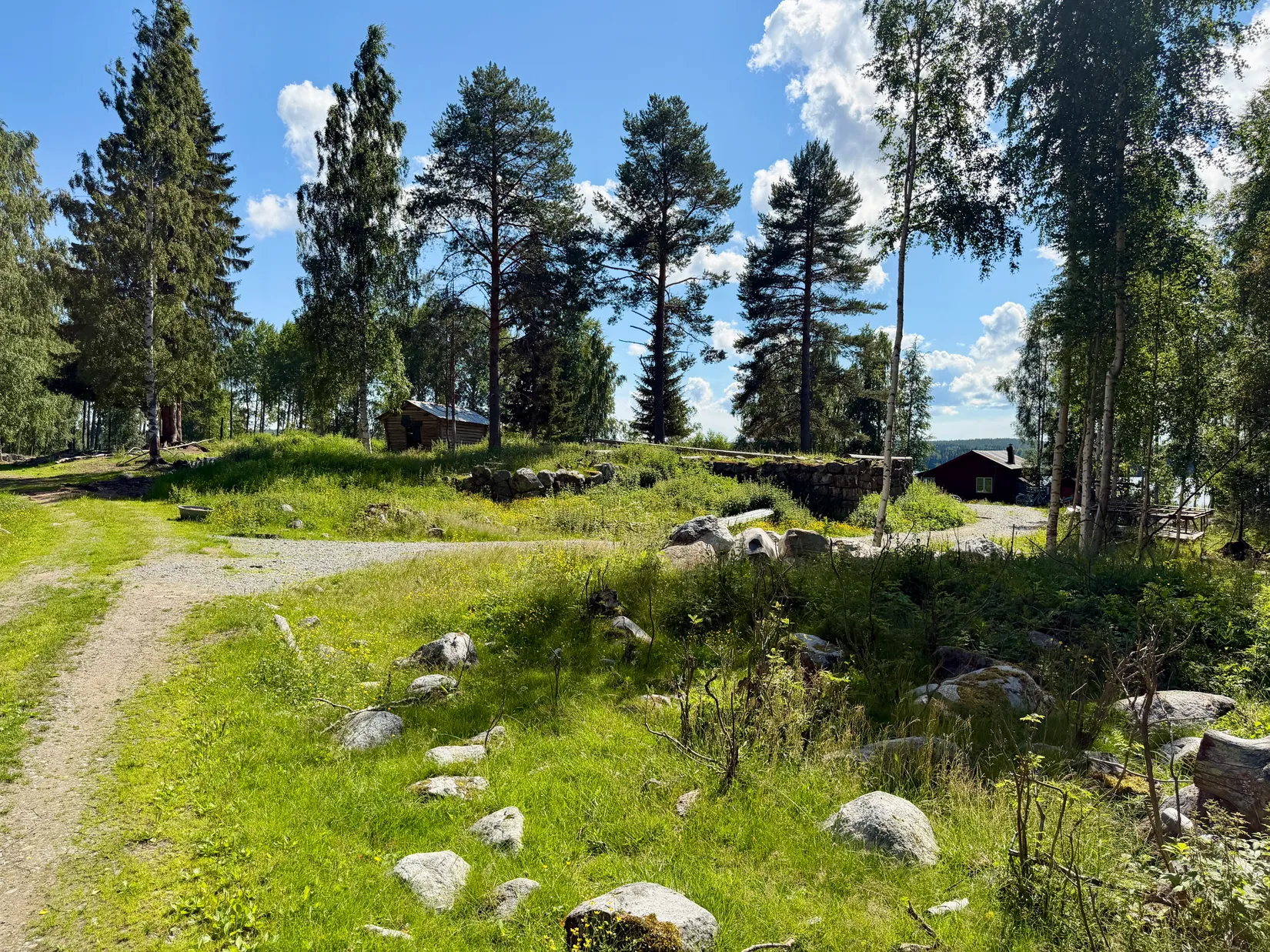 Gård/Skog, Bölesvik 1, hjoggböle, Skellefteå
