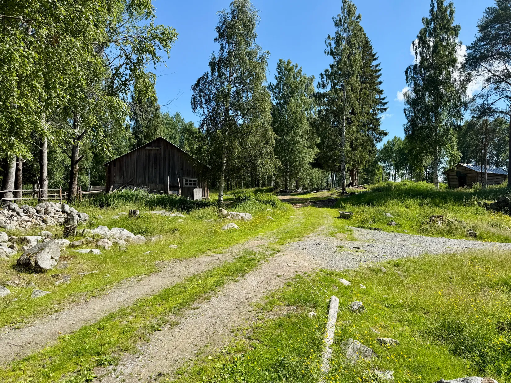 Gård/Skog, Bölesvik 1, hjoggböle, Skellefteå
