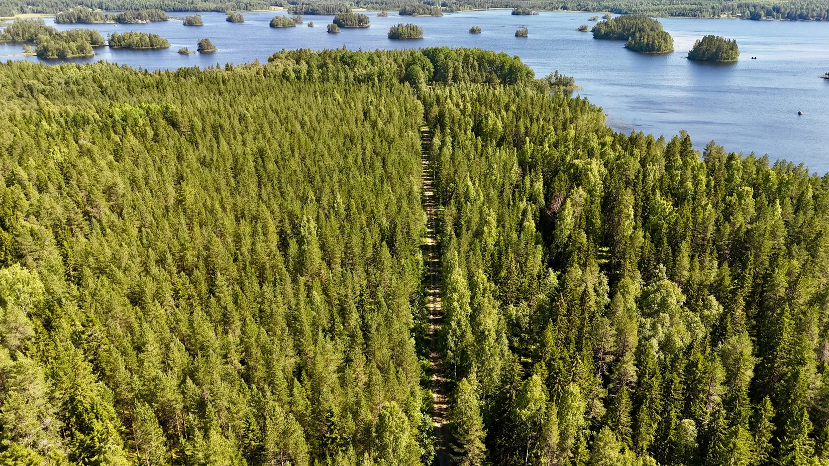 Gård/Skog, Bölesvik 1, hjoggböle, Skellefteå