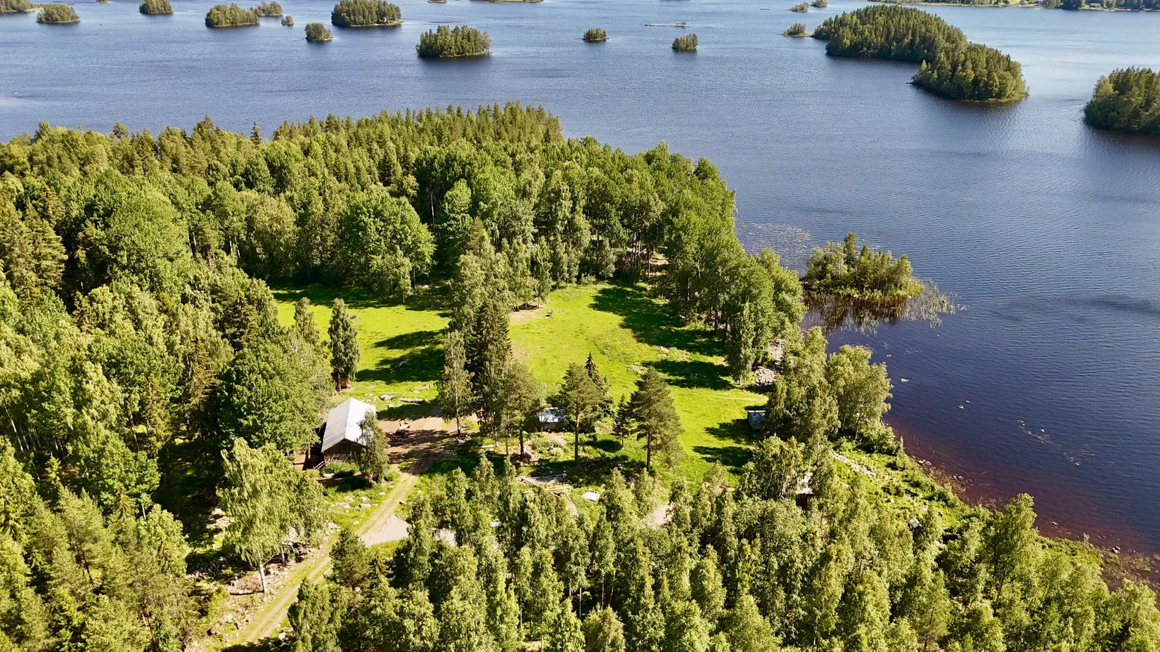 Gård/Skog, Bölesvik 1, hjoggböle, Skellefteå