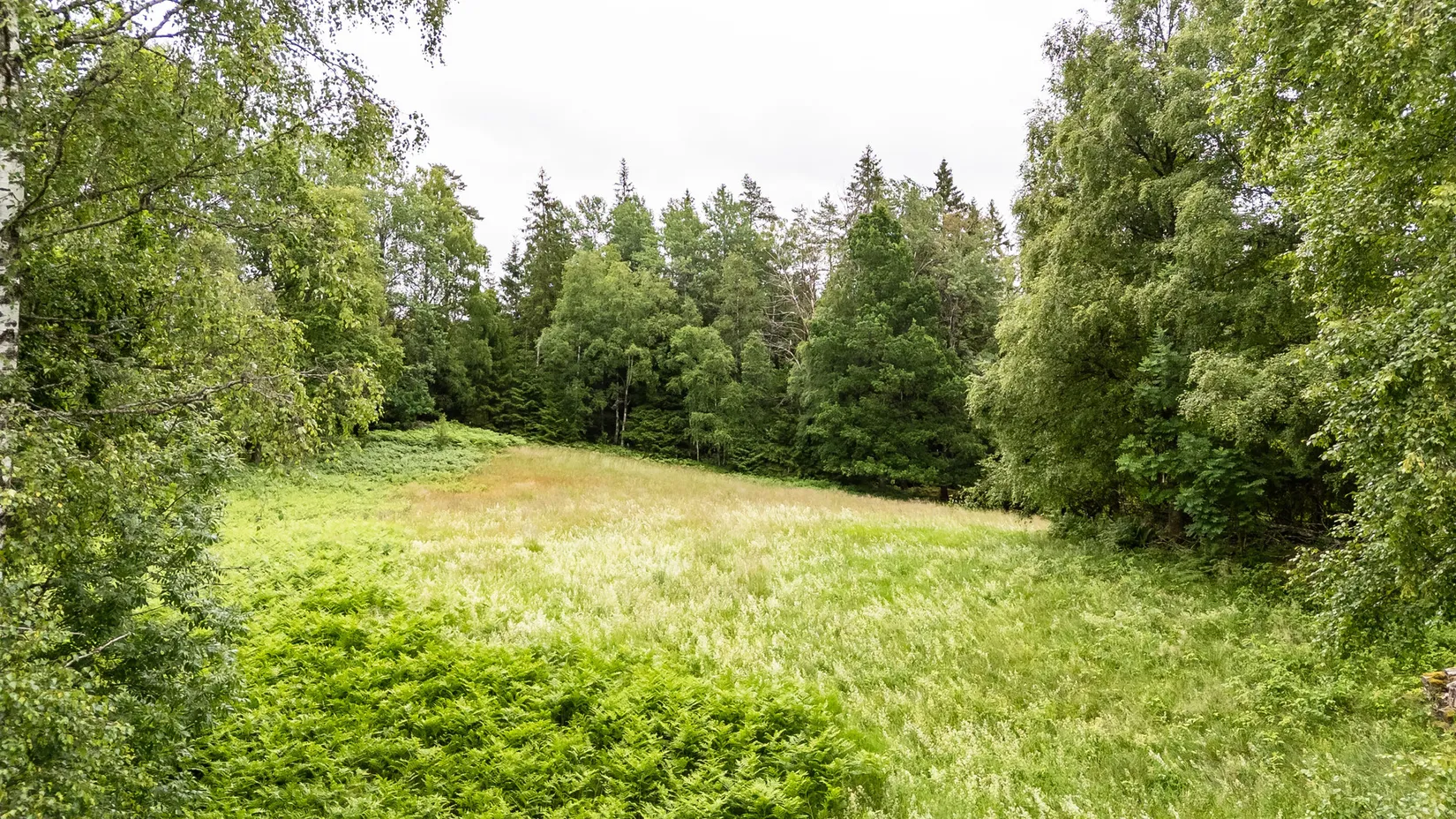 Gård/Skog, Ammarp Tittebo 1, Dalsjöfors, Borås