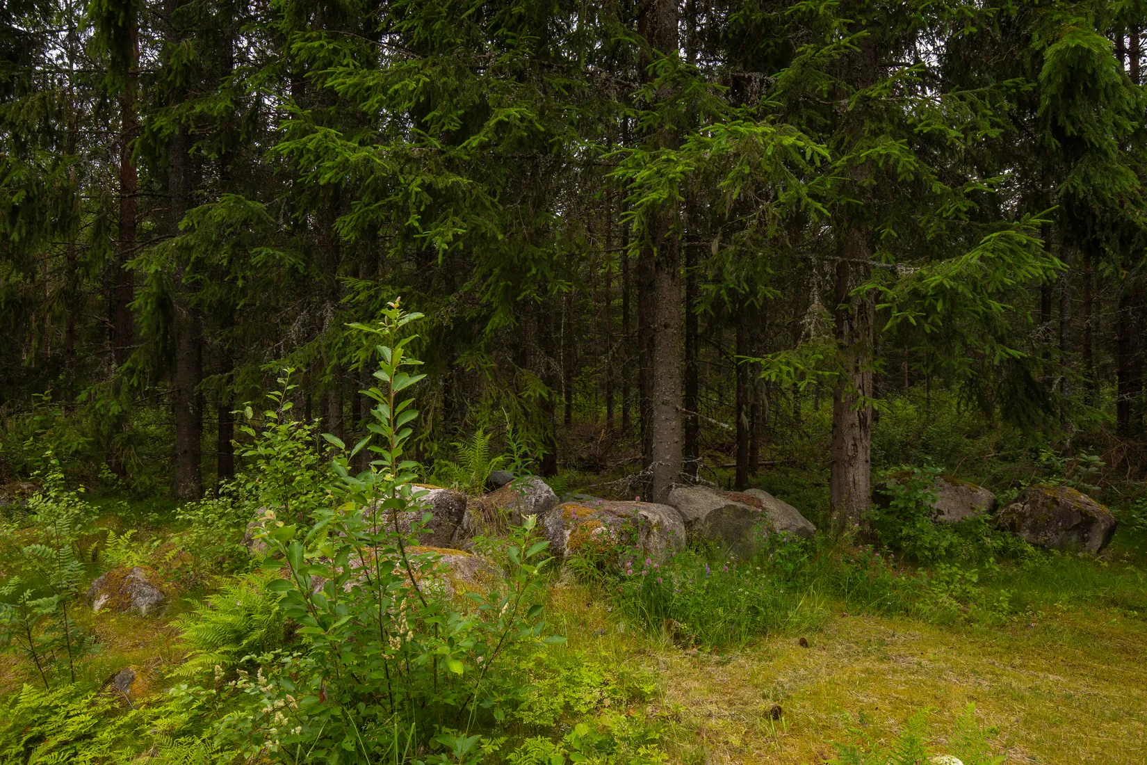 Fritidshus, Saxhyttan 171, Saxhyttan, Hällefors