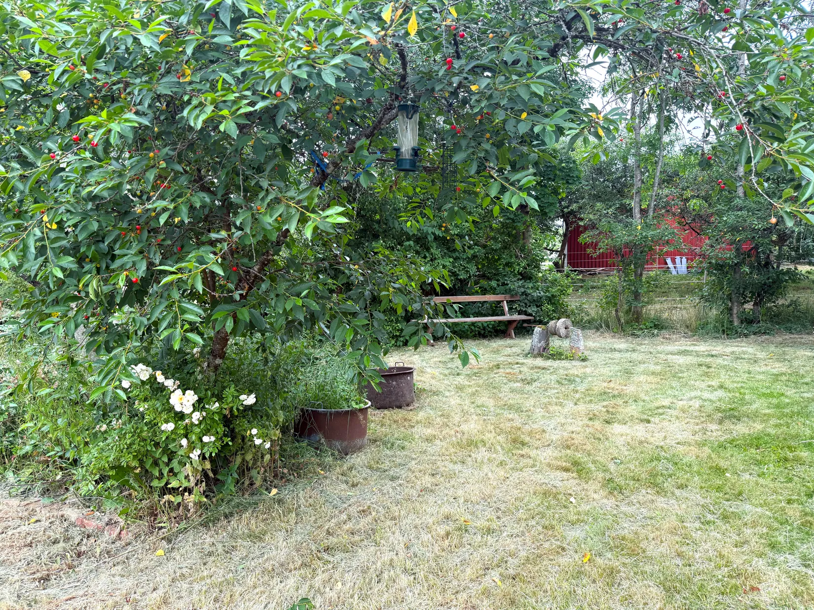 Gård/Skog, Moshultamåla 126, Emmaboda