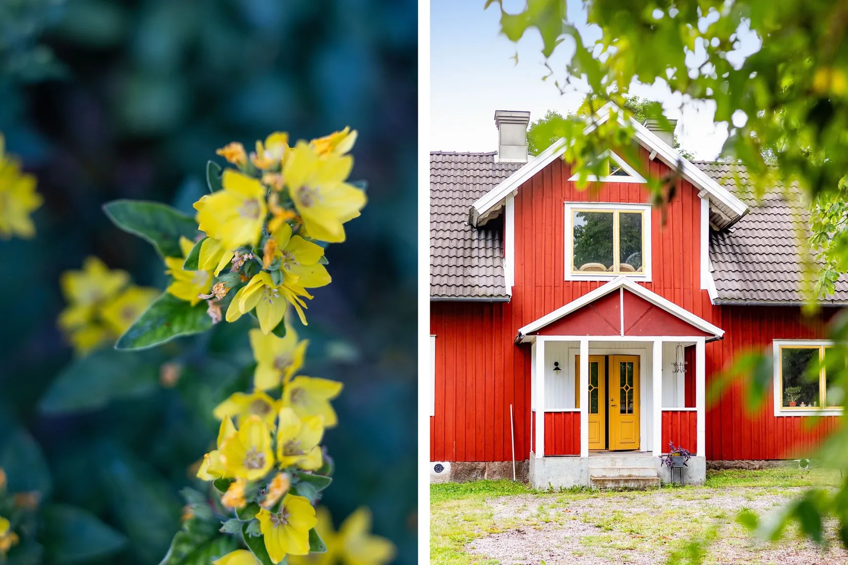 Gård/Skog, Moshultamåla 126, Emmaboda