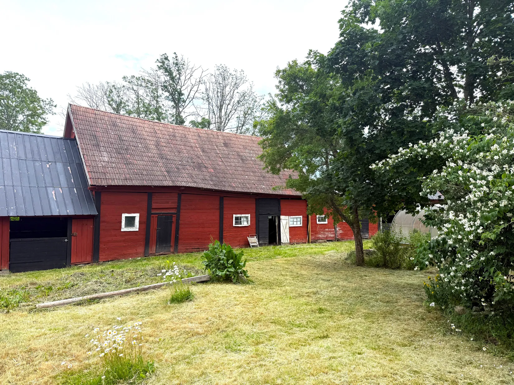 Gård/Skog, Moshultamåla 126, Emmaboda