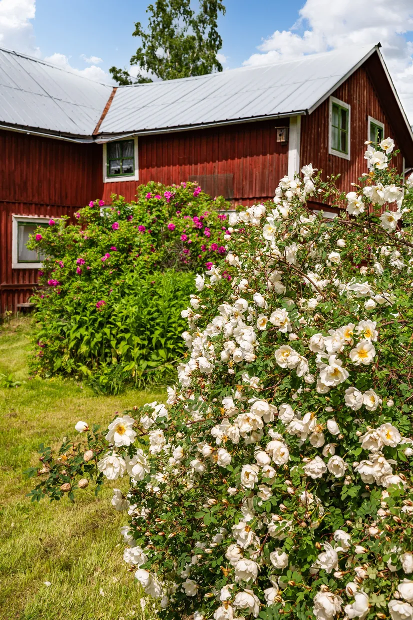 Villa, Kälen 421, Ånge