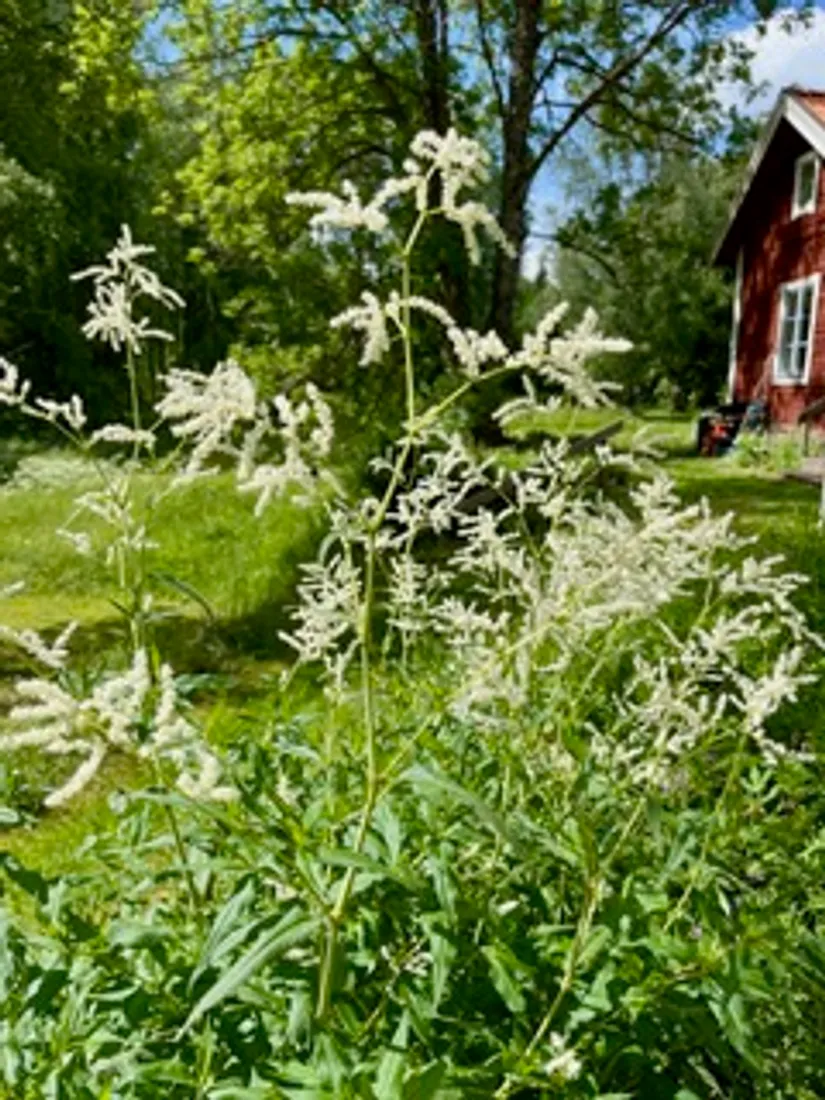 Fritidshus, Brantmovägen 21, Sättraby, Norrtälje