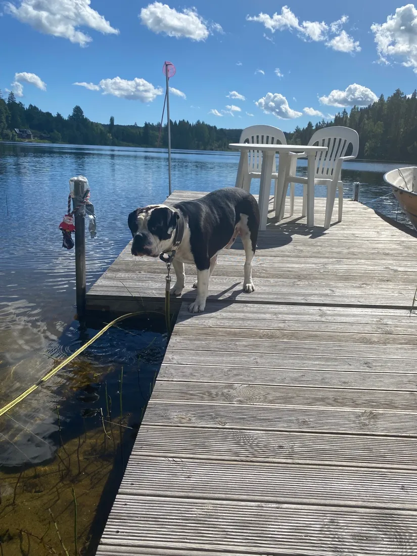 Fritidshus, Nästvattnet 164, Kramfors