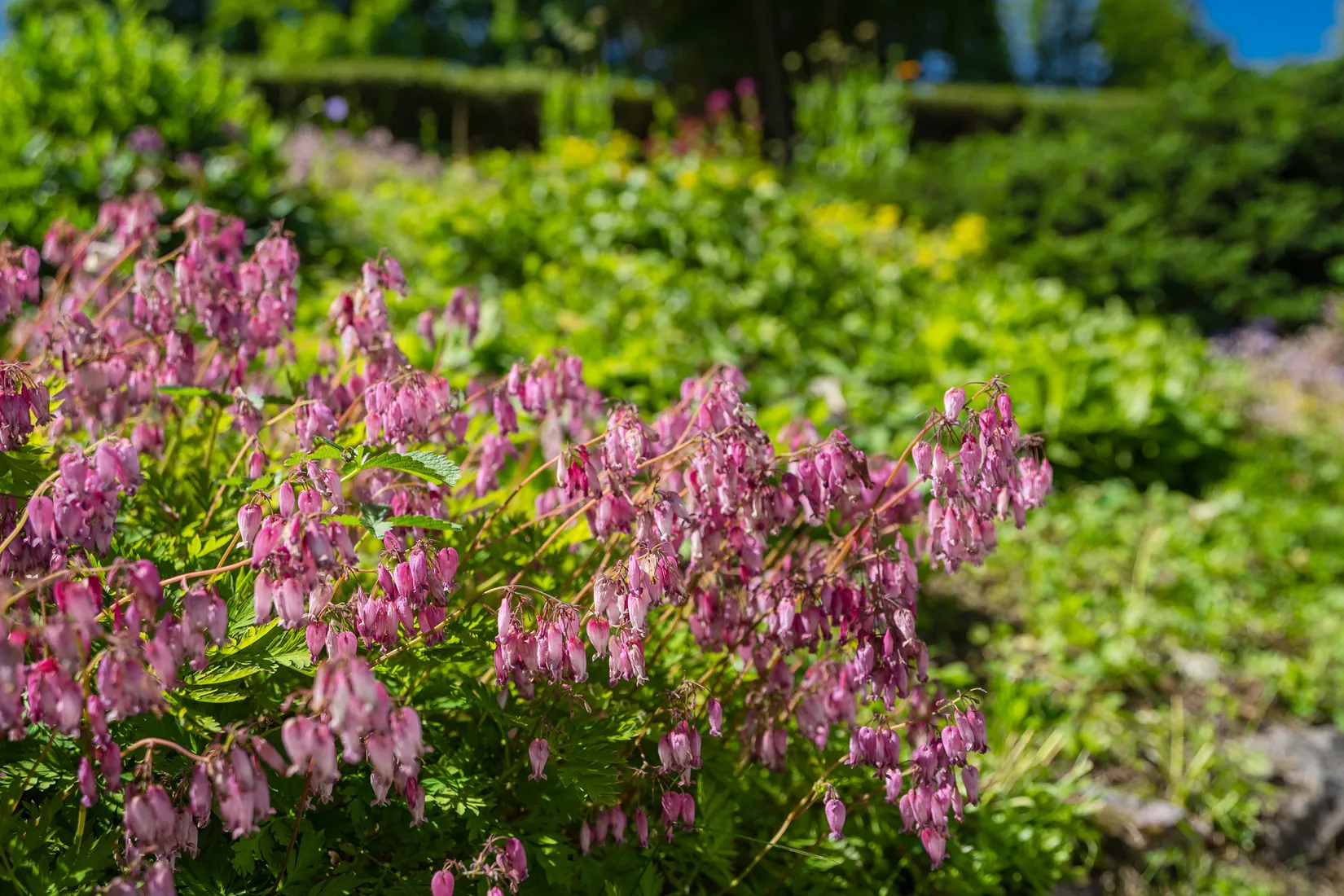 Villa, Östra Tämnarvägen 14, Tierp