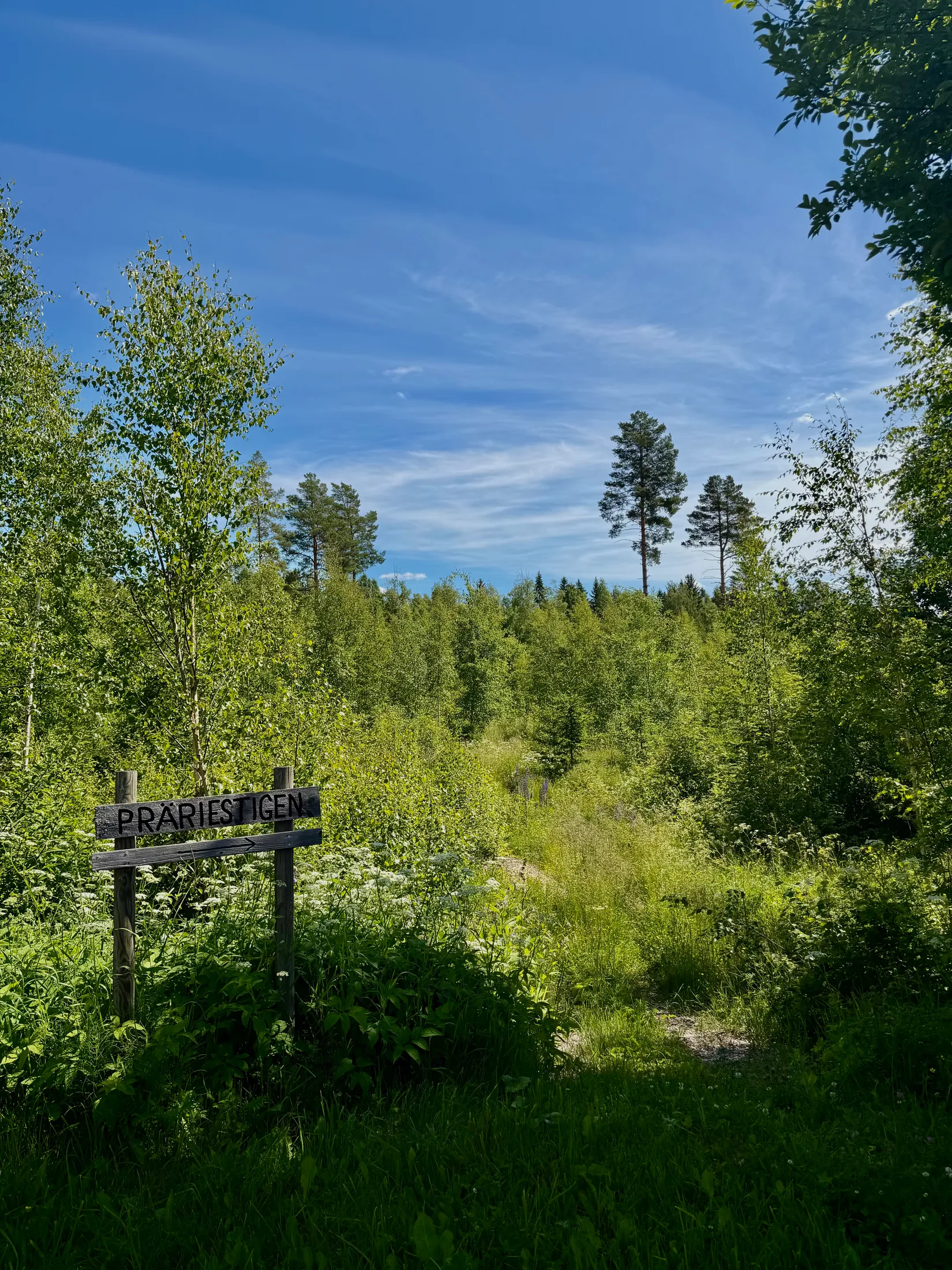 Villa, Prärievägen 10, Engelsfors, Hedemora