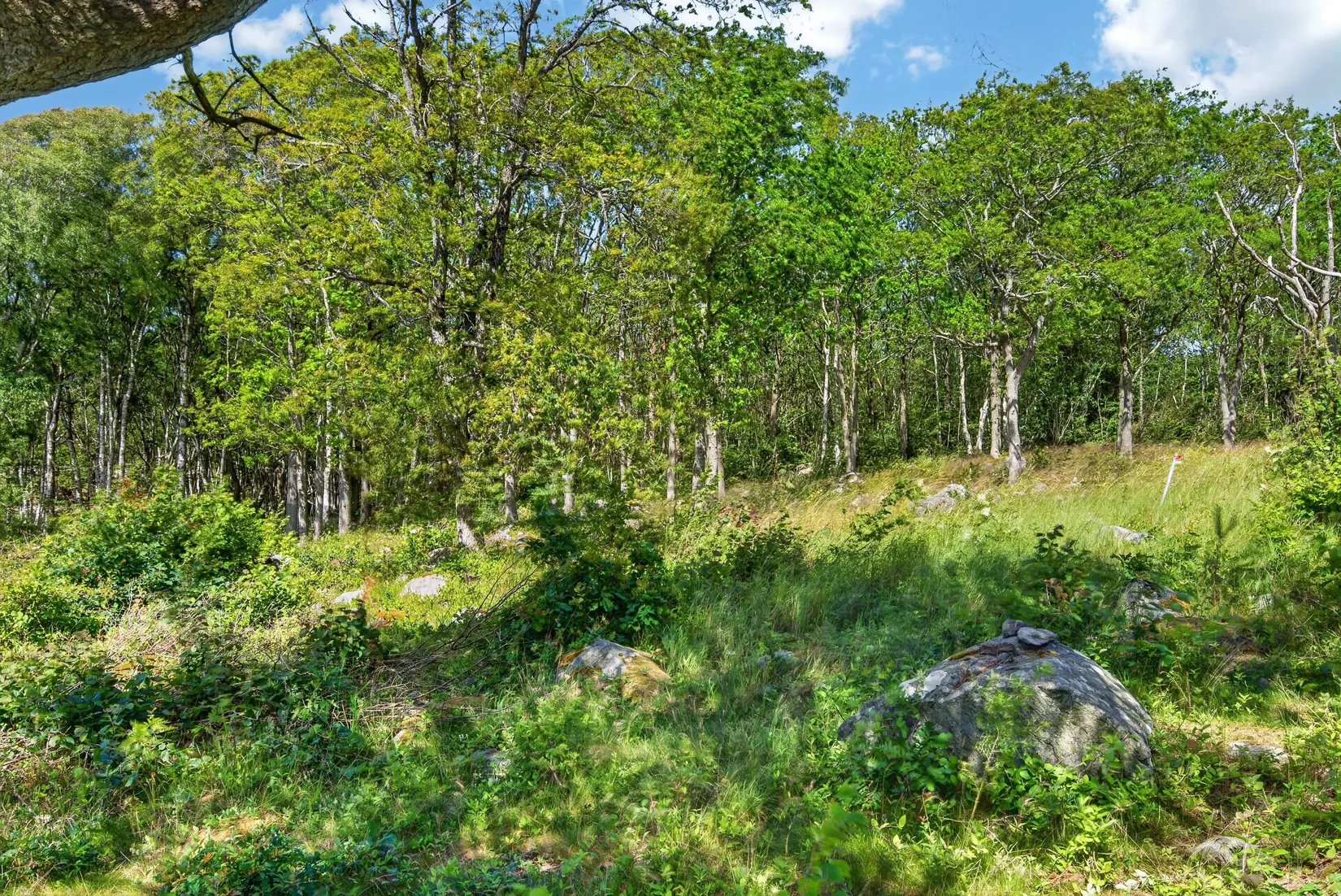 Tomt, Lotsvägen 45, Strömstad