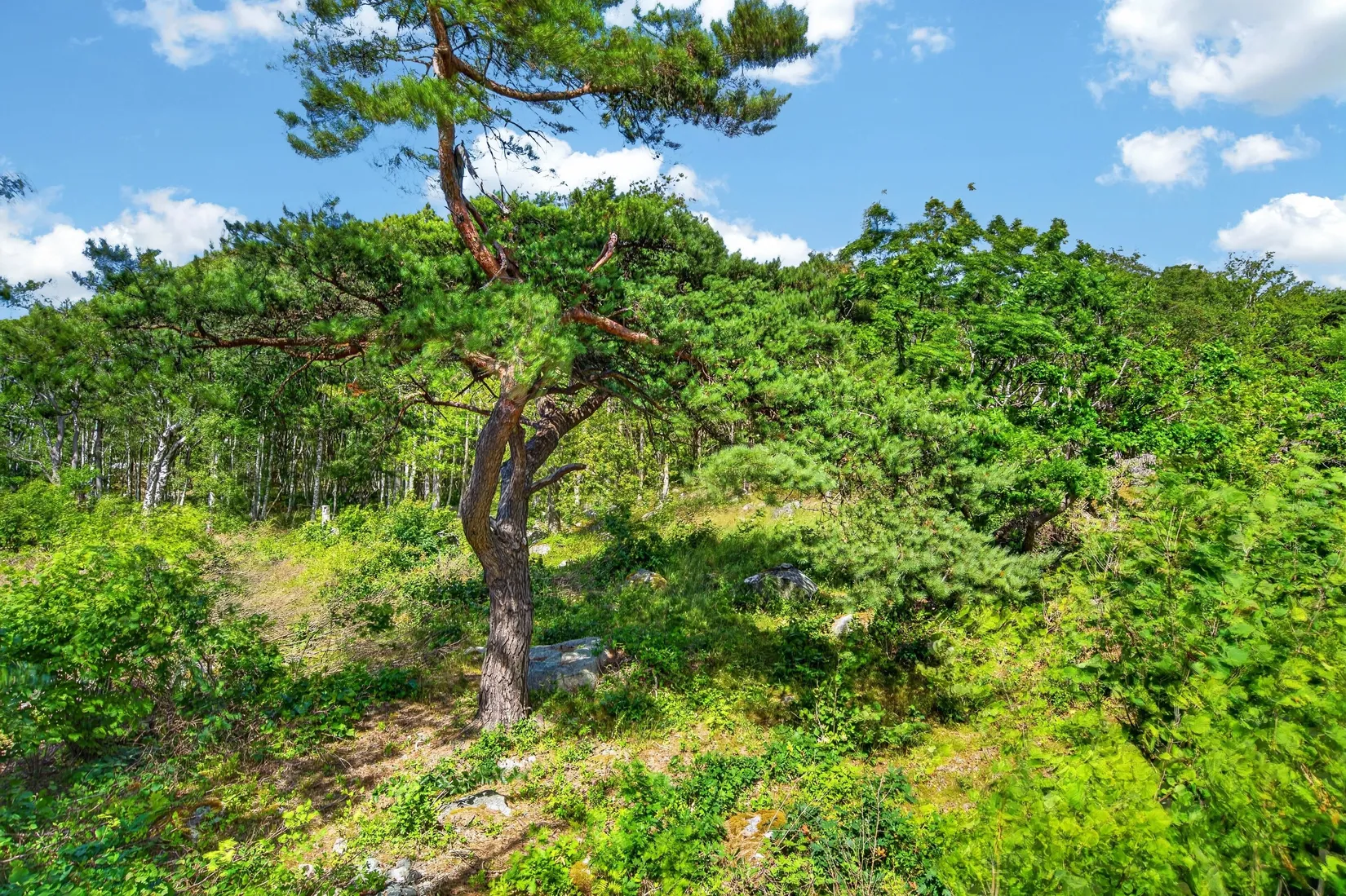 Tomt, Lotsvägen 45, Strömstad