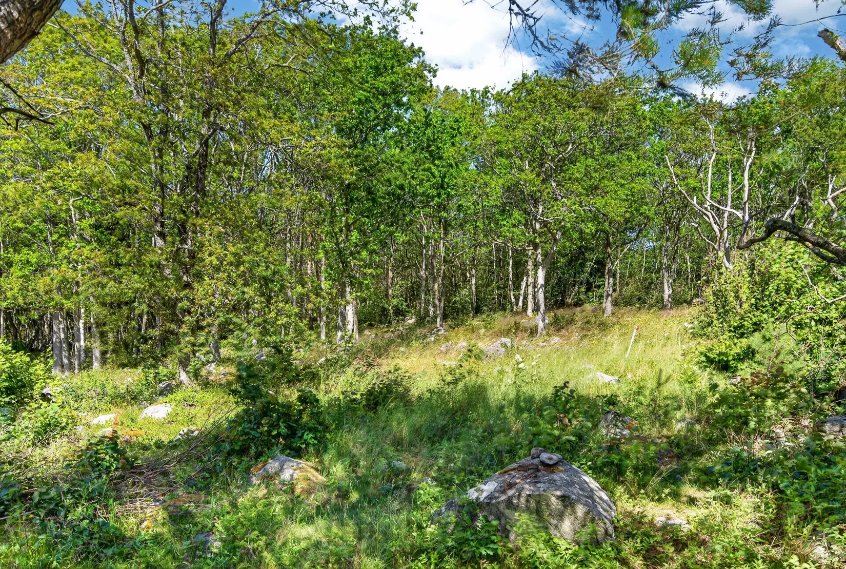 Tomt, Lotsvägen 45, Strömstad
