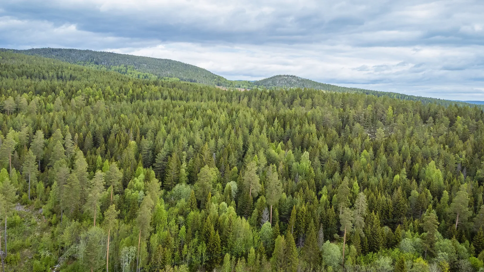 Gård/Skog, KRAMFORS HERRSKOG 4:61, Herrskog, Kramfors