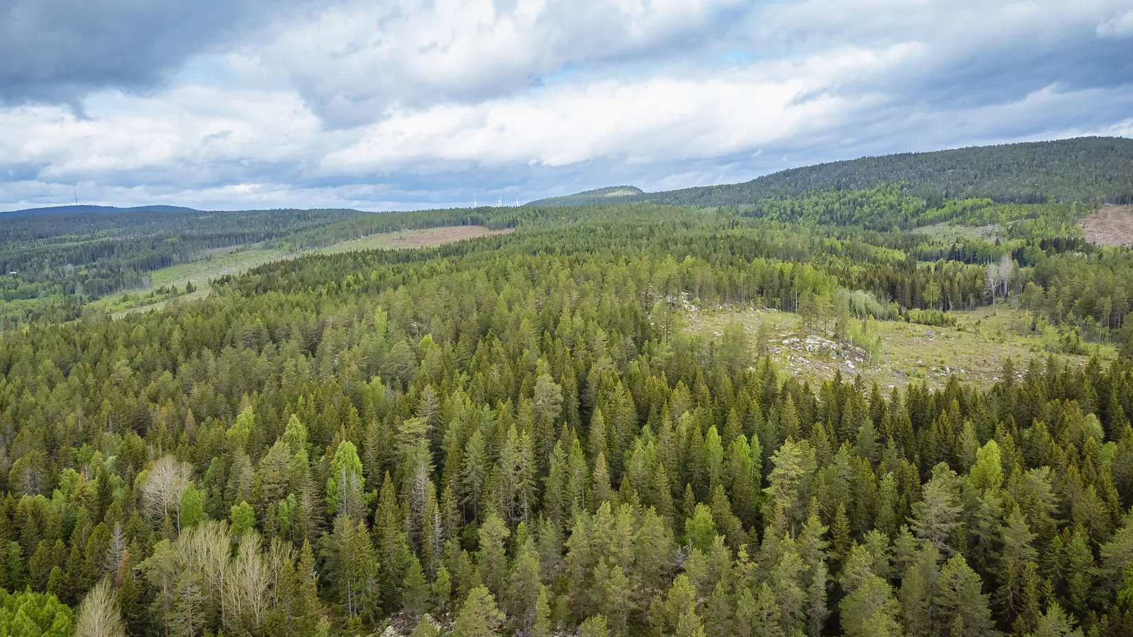 Gård/Skog, KRAMFORS HERRSKOG 4:61, Herrskog, Kramfors