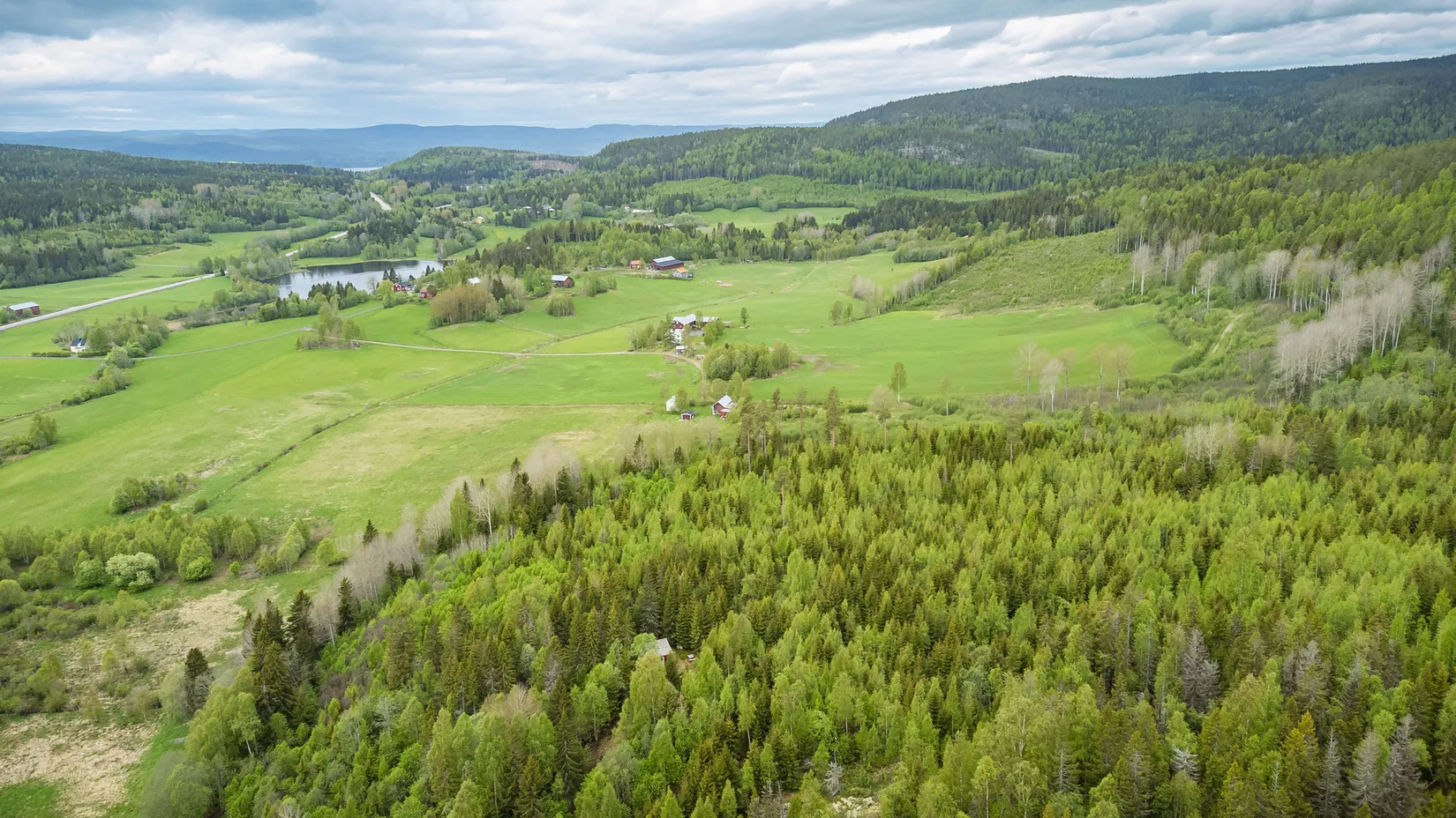 Gård/Skog, KRAMFORS HERRSKOG 4:61, Herrskog, Kramfors