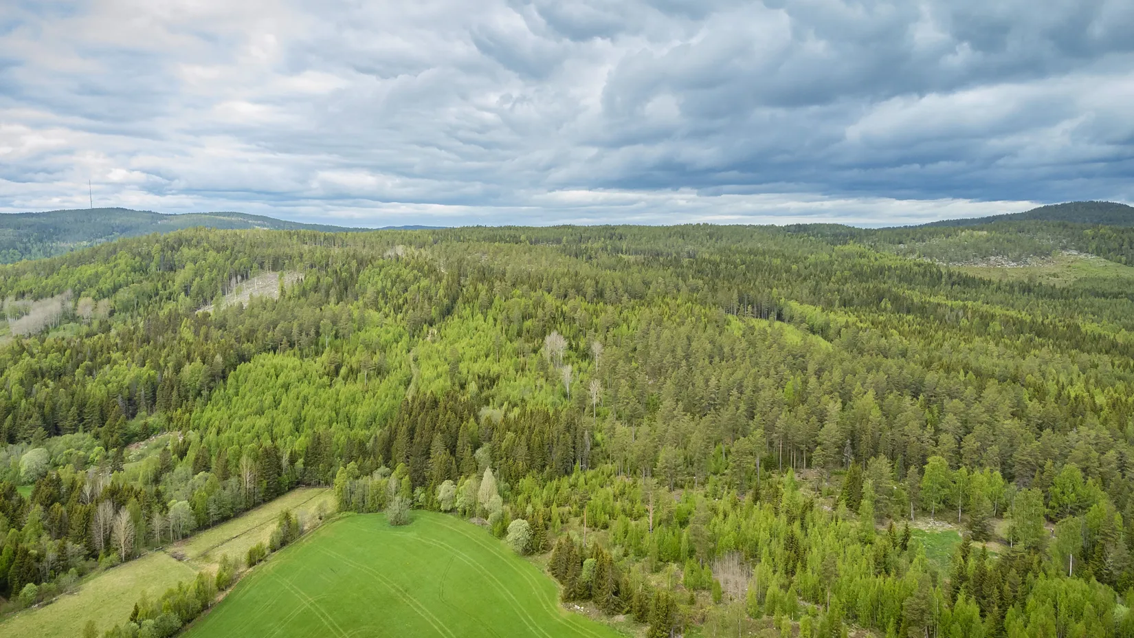 Gård/Skog, KRAMFORS HERRSKOG 4:61, Herrskog, Kramfors