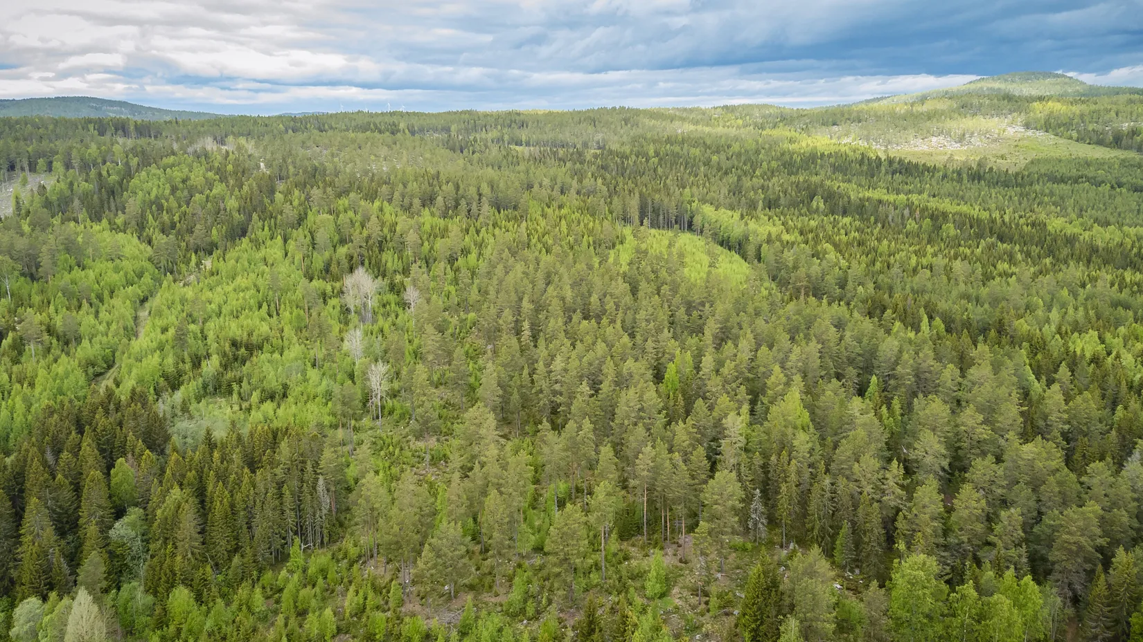 Gård/Skog, KRAMFORS HERRSKOG 4:61, Herrskog, Kramfors