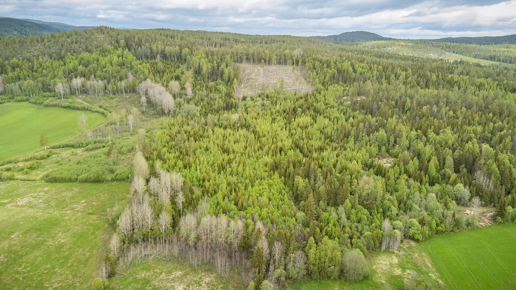 Gård/Skog, KRAMFORS HERRSKOG 4:61, Herrskog, Kramfors