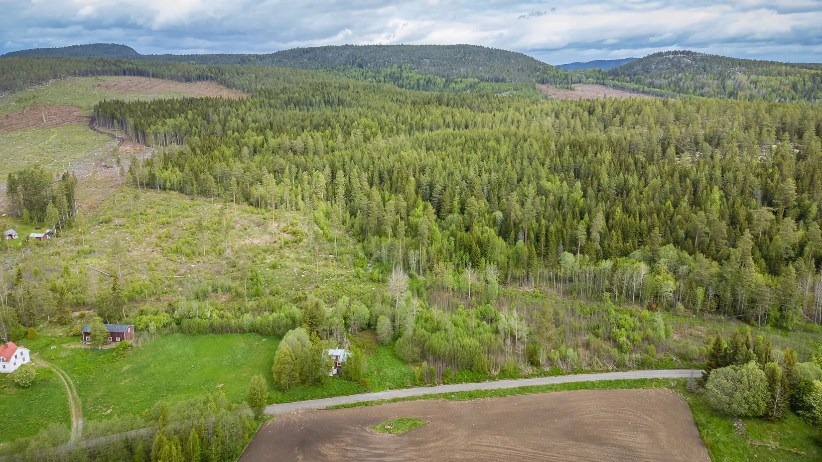 Gård/Skog, KRAMFORS HERRSKOG 4:61, Herrskog, Kramfors