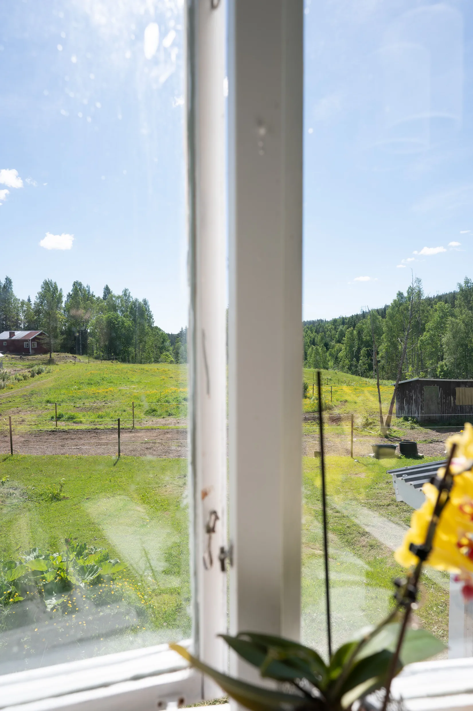 Gård/Skog, Flärke 182, Flärke, Örnsköldsvik