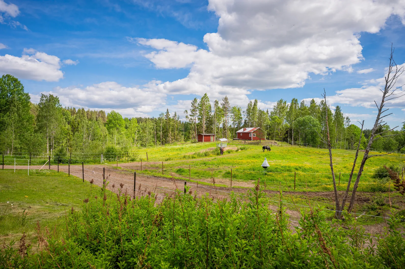 Gård/Skog, Flärke 182, Flärke, Örnsköldsvik