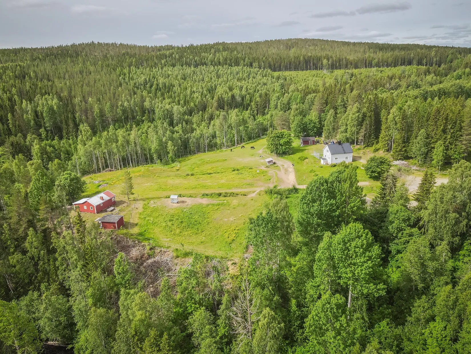 Gård/Skog, Flärke 182, Flärke, Örnsköldsvik