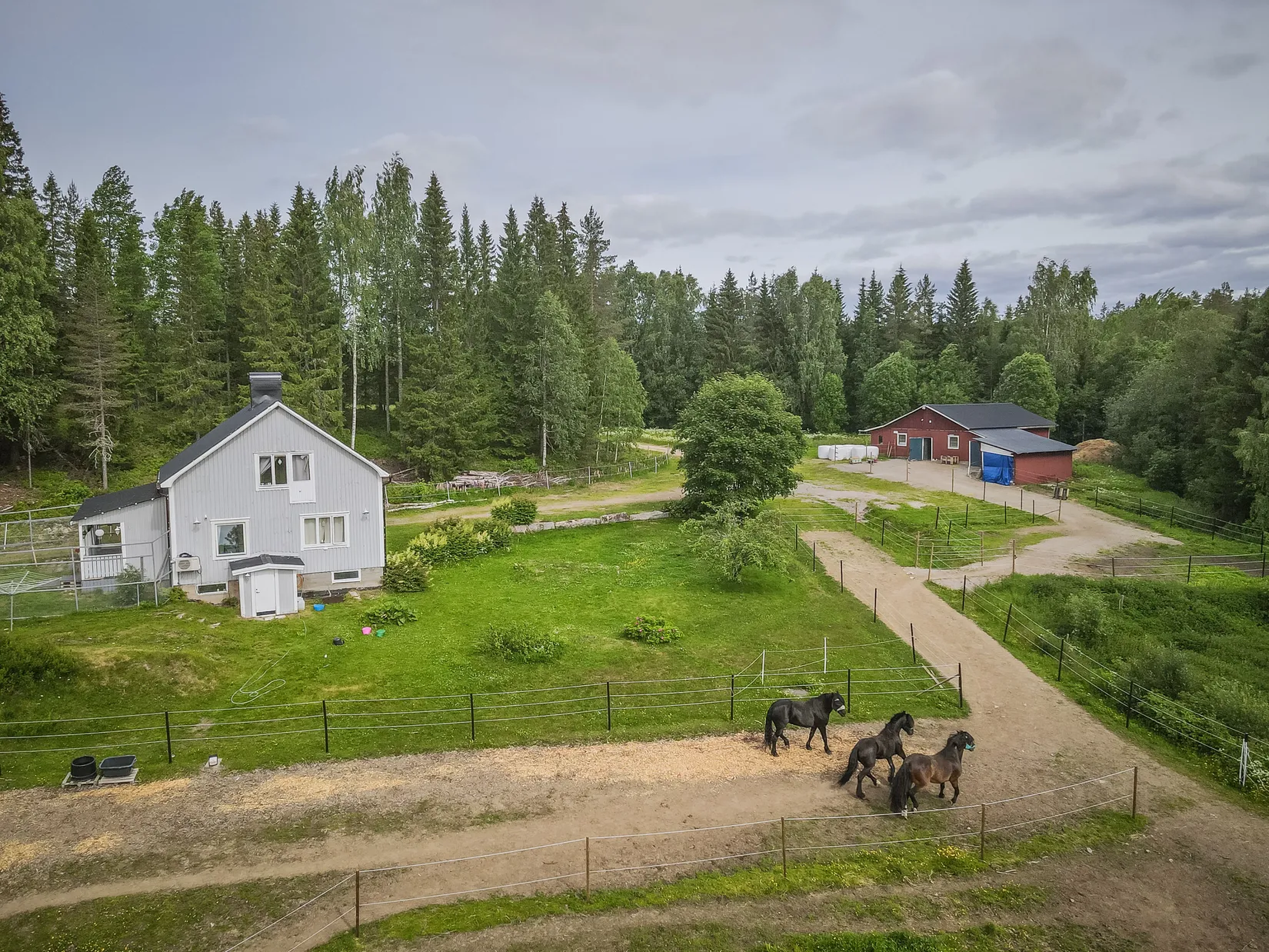 Gård/Skog, Flärke 182, Flärke, Örnsköldsvik