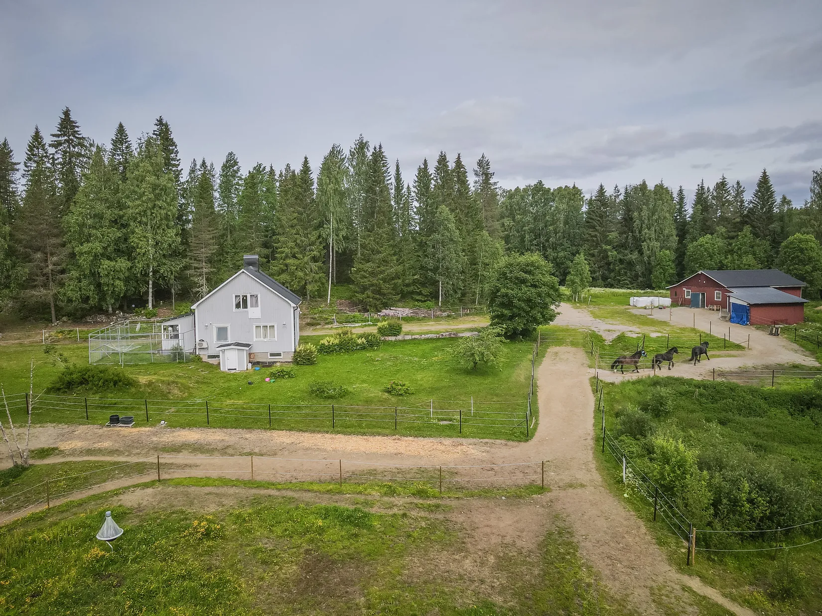 Gård/Skog, Flärke 182, Flärke, Örnsköldsvik
