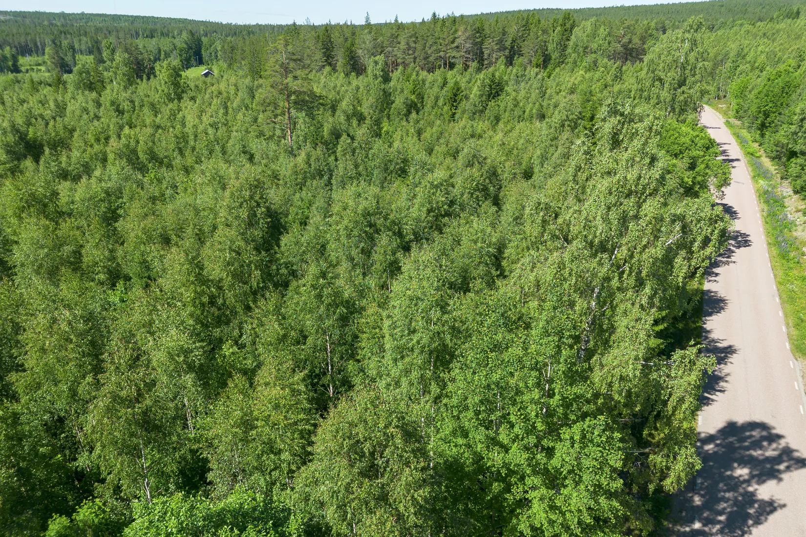 Gård/Skog, Krattevägen 3, Hofors