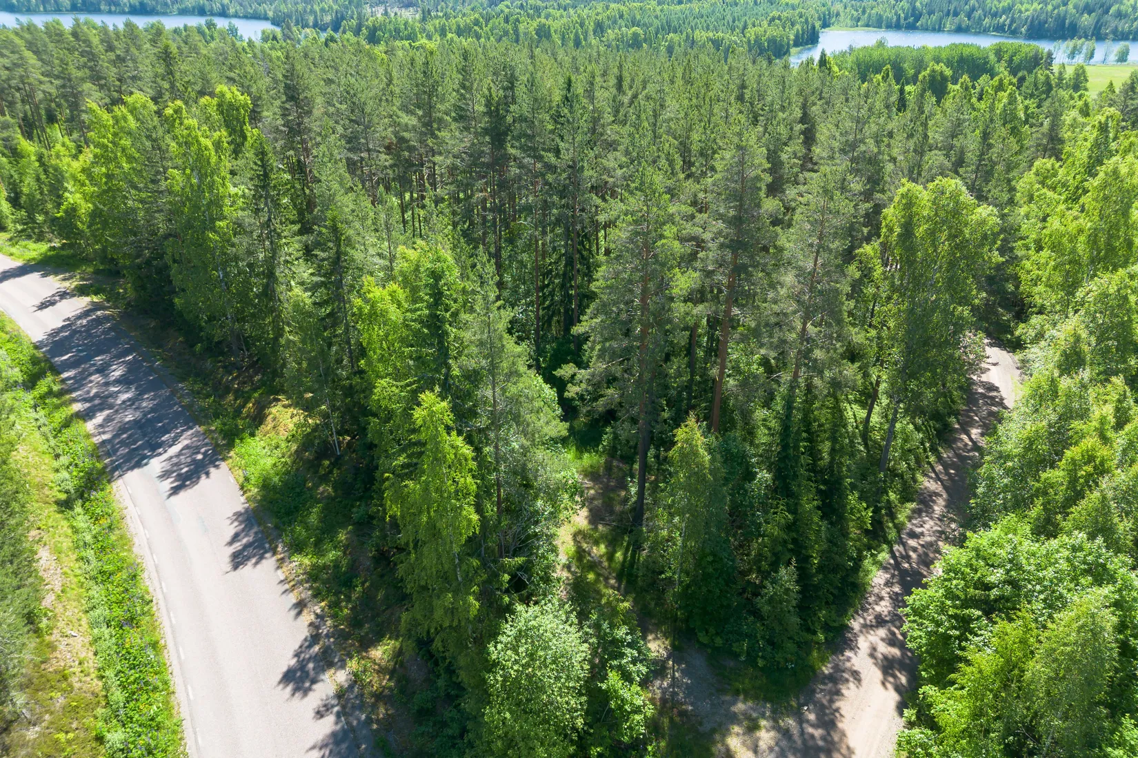 Gård/Skog, Krattevägen 3, Hofors