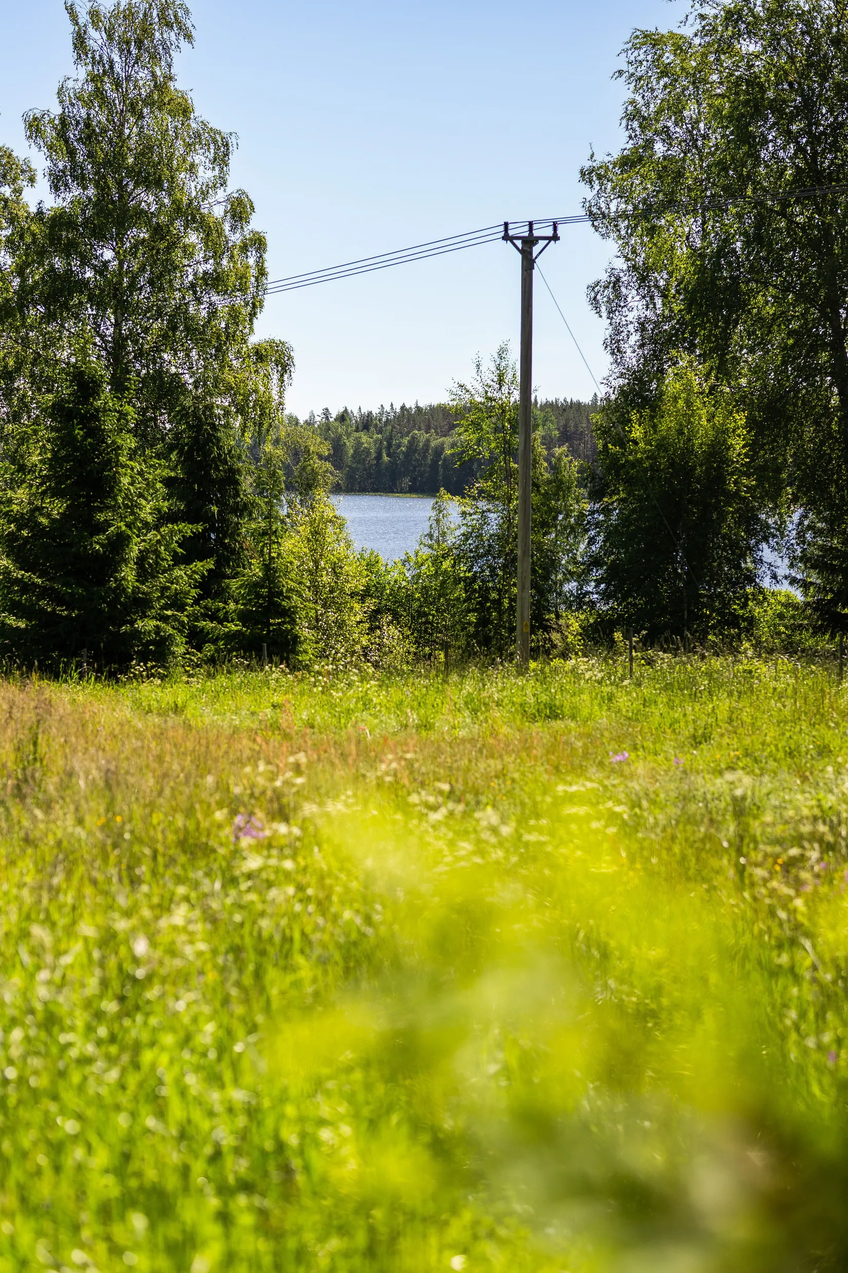 Gård/Skog, Krattevägen 3, Hofors