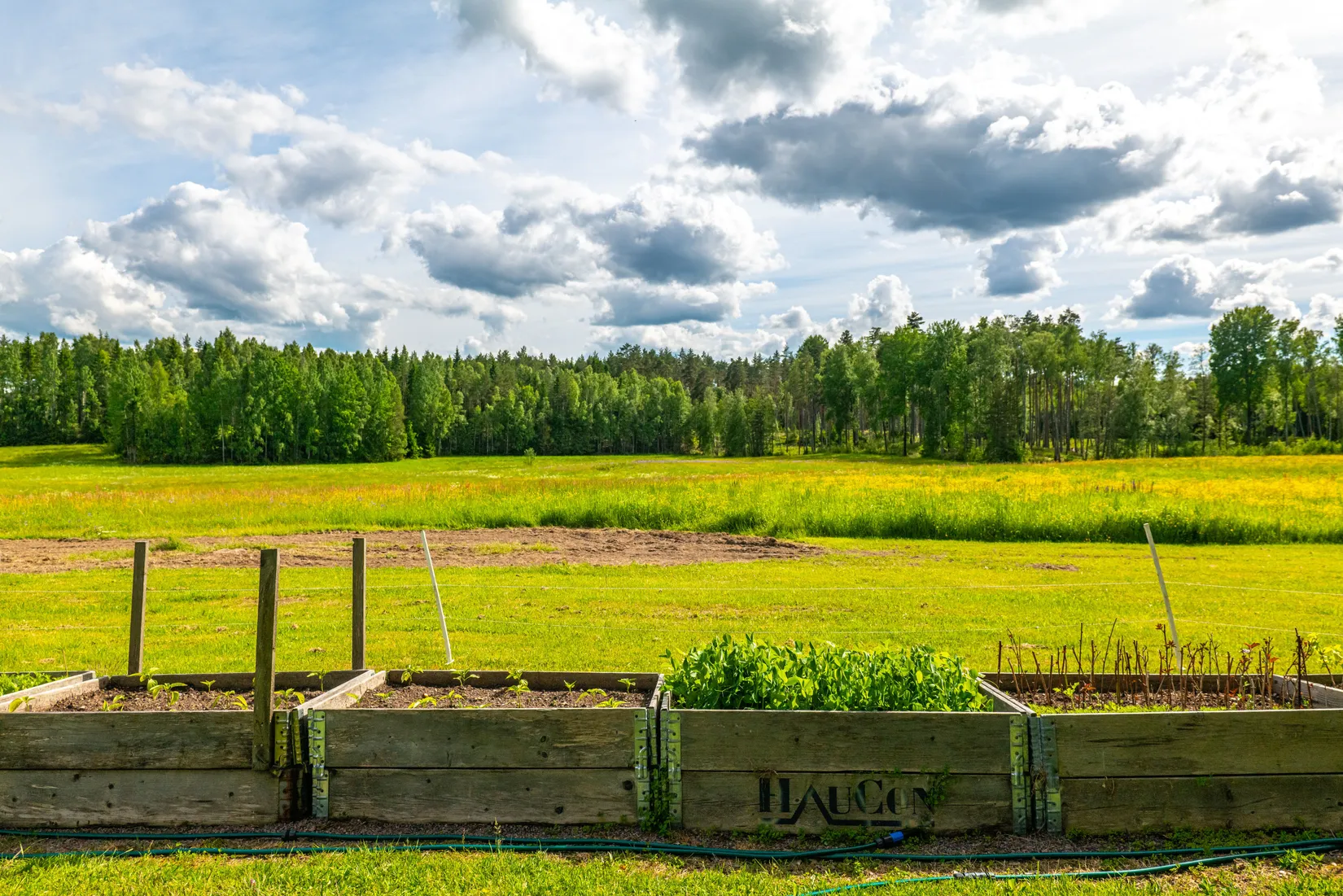 Gård/Skog, Balsna 425, Glanshammar, Örebro
