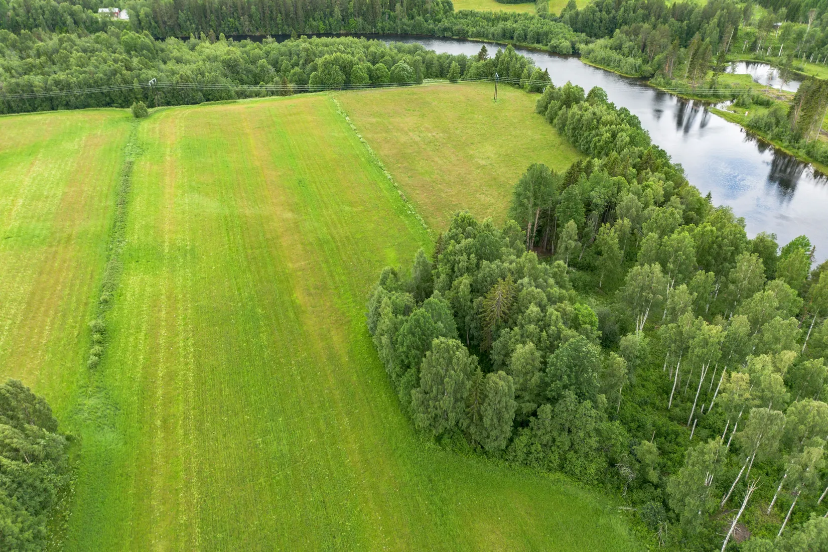 Gård/Skog, Norrnäs 112, Sollefteå