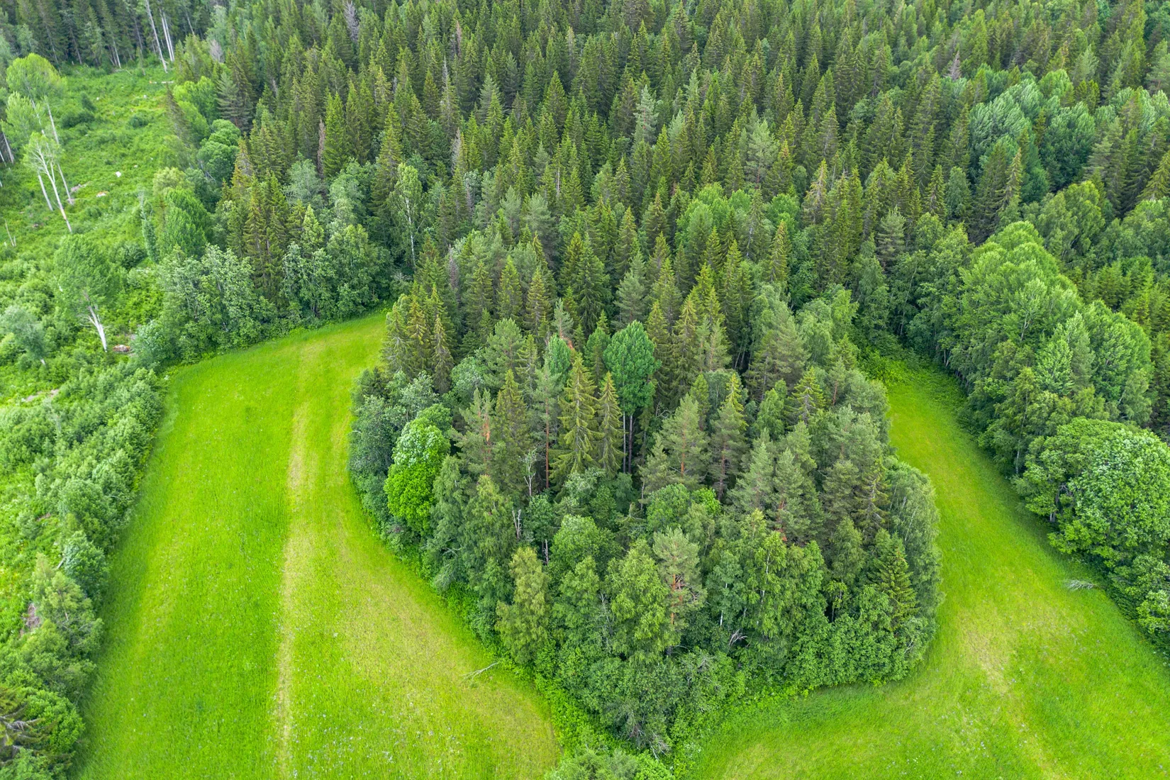 Gård/Skog, Norrnäs 112, Sollefteå