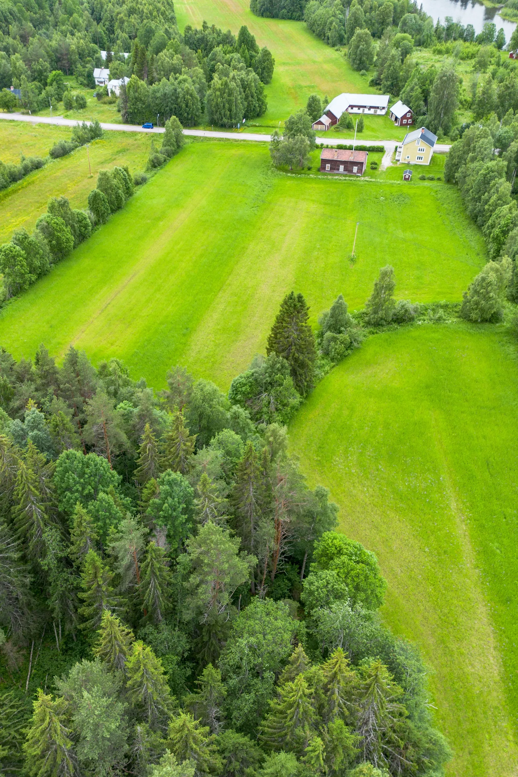 Gård/Skog, Norrnäs 112, Sollefteå